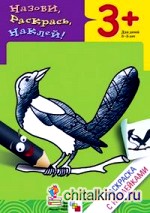 Раскраска с наклейками: Птицы