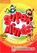 Super Minds: Starter Flashcards