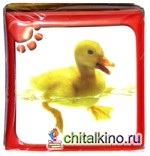 Книжка-пищалка «Зверята: Утенок»