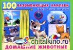 Домашние животные