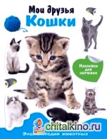 Мои друзья кошки