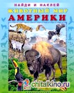 Животный мир Америки: Найди и наклей