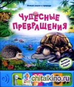 Чудесные превращения: Нажми — послушай сказку!
