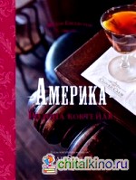 Америка — родина коктейля: Гид по коктейлям и напиткам Bar Style №2