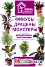 Фикусы, драцены, монстеры и другие декоративно-лиственные комнатные растения