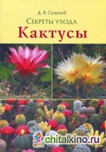 Кактусы: Секреты ухода