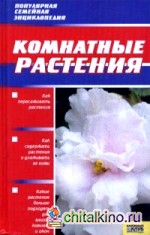 Комнатные растения: Справочное пособие