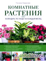 Комнатные растения: календарь по уходу на каждый месяц