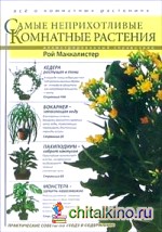 Самые неприхотливые комнатные растения