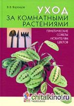 Уход за комнатными растениями: Практические советы любителям цветов