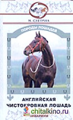 Английская чистокровная лошадь