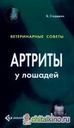 Артриты у лошадей