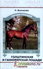 Голштинская и ганноверская лошади