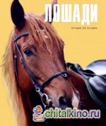 Лошади