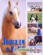 Лошади и пони
