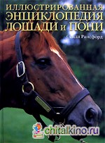 Лошади и пони