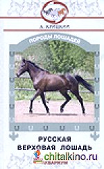 Русская верховая лошадь