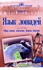 Язык лошадей: Образ жизни, поведение, формы общения