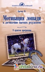 Мотивация лошади к достижению высоких результатов: 8 пунктов программы