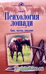 Психология лошади