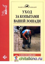 Уход за копытами вашей лошади