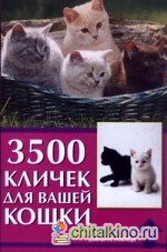3500 кличек для вашей кошки