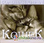 Большая книга кошек