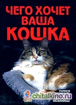 Чего хочет ваша кошка
