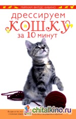 Дрессируем кошку за 10 минут