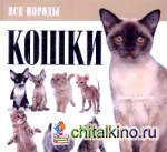 Кошки