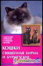 Кошки: Священная Бирма и бурмезские