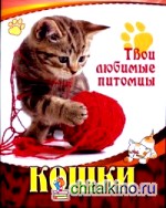 Кошки