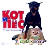Кот и пес: Лучшие фотографии