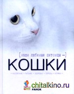 Наши любимые питомцы — кошки