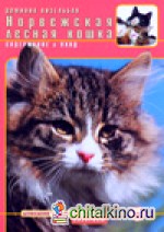 Норвежская лесная кошка
