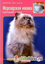 Персидская кошка