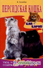 Персидская кошка: Уход и содержание от «А» до «Я»