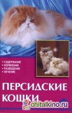 Персидские кошки