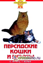 Персидские кошки и экзоты