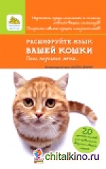 Расшифруйте язык вашей кошки: Позы, мяуканье, метки
