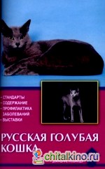 Русская голубая кошка: Стандарты. Содержание. Профилактика заболеваний. Выставки