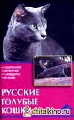Русские голубые кошки