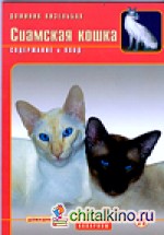Сиамская кошка