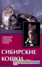 Сибирские кошки