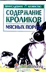 Содержание кроликов мясных пород