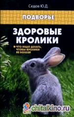 Здоровые кролики: Что надо делать, чтобы кролики не болели