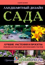 Ландшафтный дизайн сада