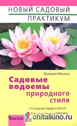 Садовые водоемы природного стиля