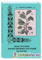 Атлас русских лекарственных растений: В. К. Варлих