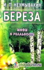 Береза: мифы и реальность